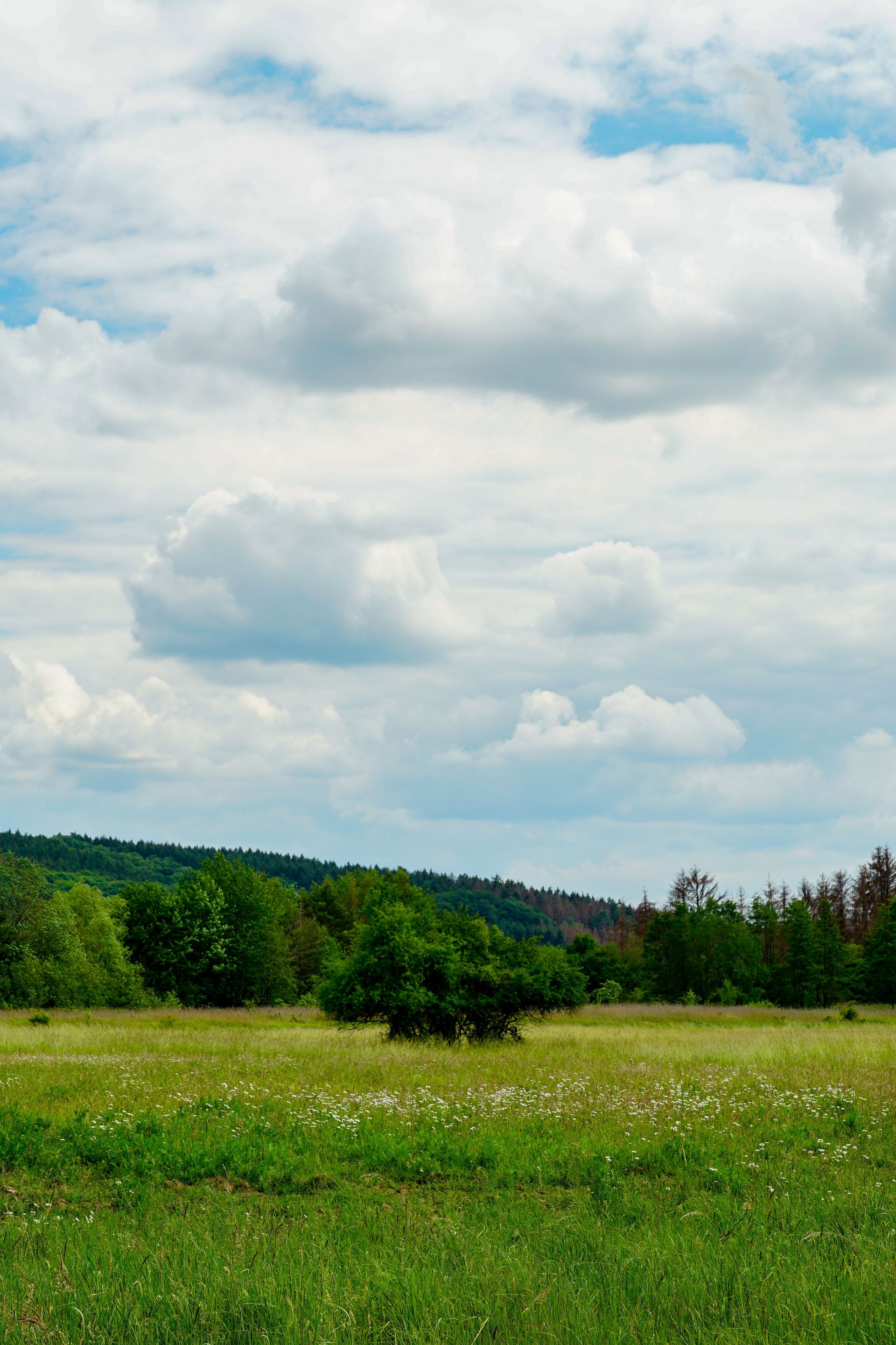 Болытлар