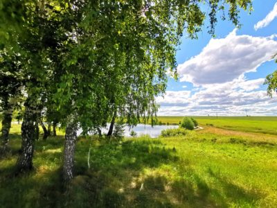 Сандугачлар җиргә кунганнармы...