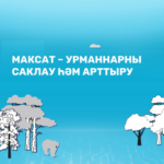 Татарстанда «Экология» проекты буенча урманнарны саклауга 200 млн сум тотылачак